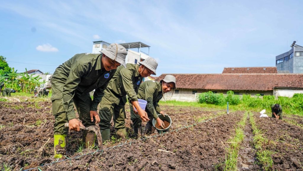 Praktikum lahan politeknik negeri jember