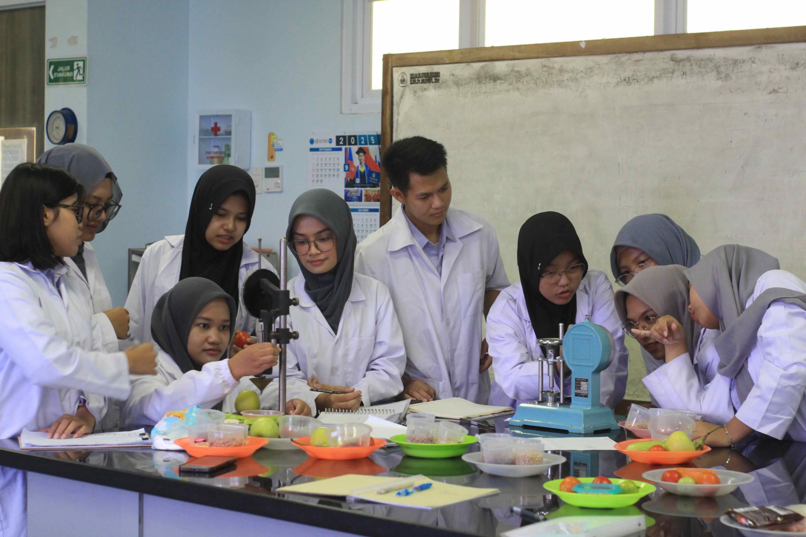 praktikum politeknik negeri jember