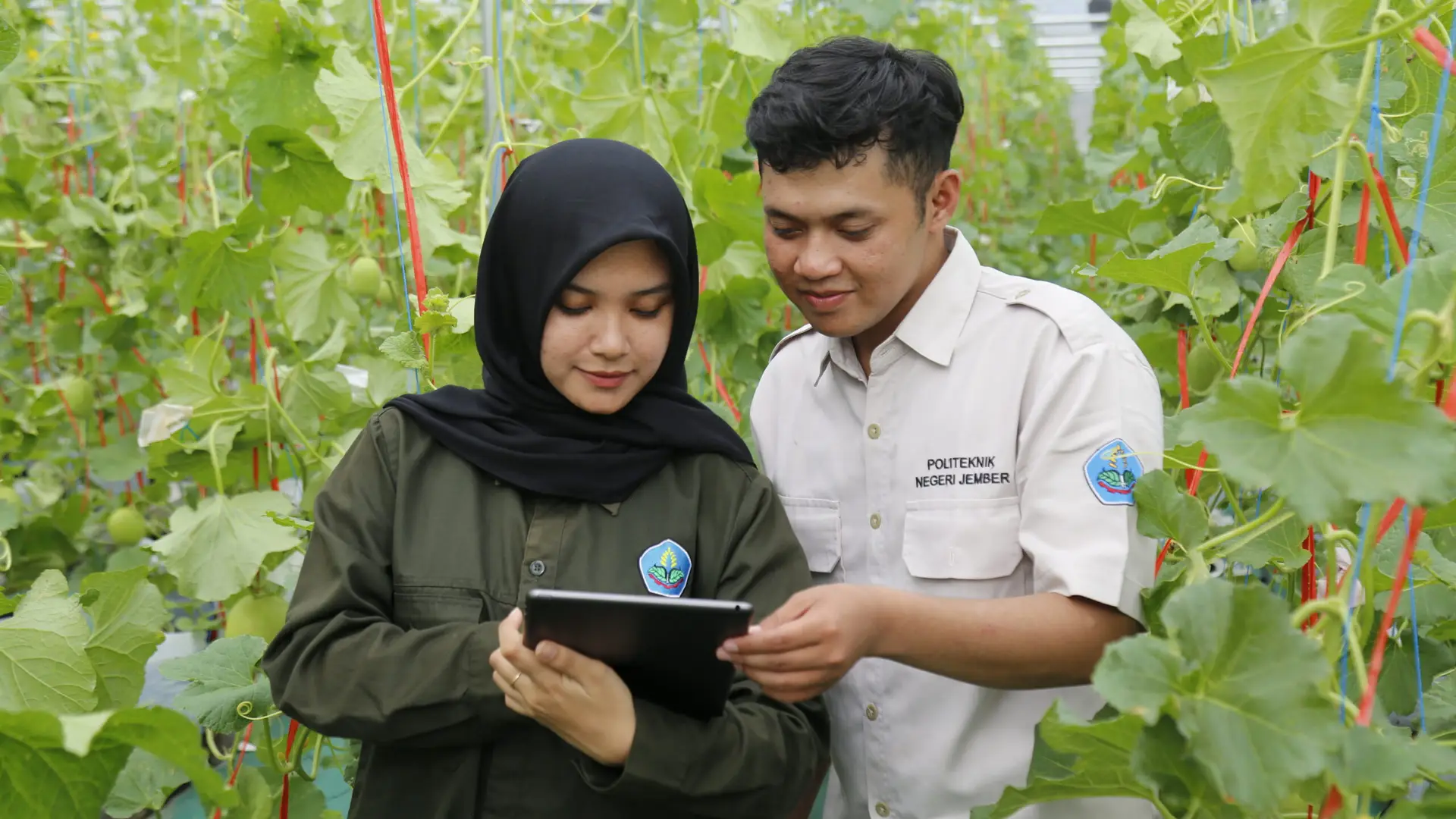 Praktikum Mahasiswa Produksi Tanaman Hortikultura Polije