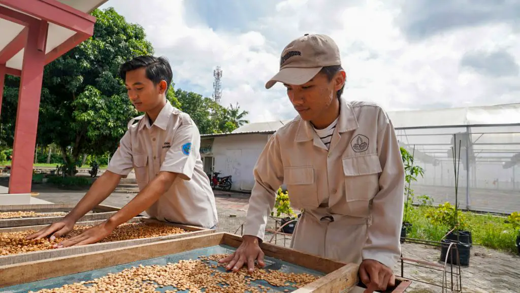 Praktikum Mahasiswa D4 Teknik Produksi Benih Polije