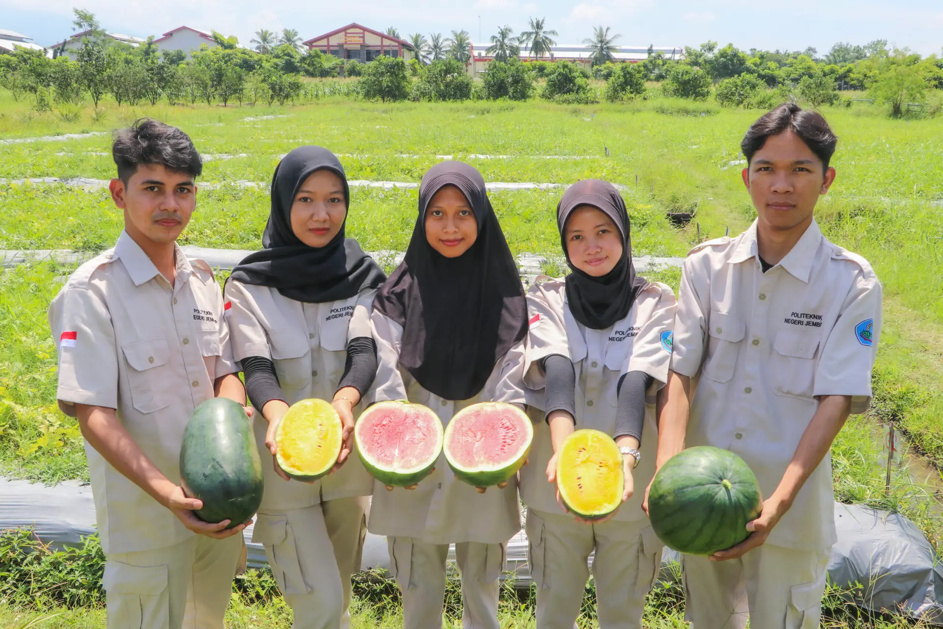 Praktikum Mahasiswa D3 Manajemen Agribisnis Polije