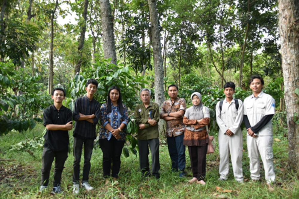 Dosen Polije Latih Mahasiswa Kelola Kopi Robusta Pascarejuvenasi