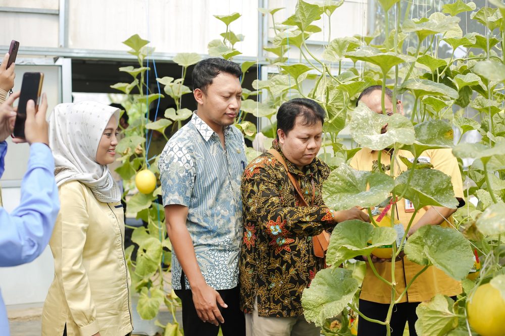 Mahasiswa Polije Bondowoso Sukses Gelar Produk Melon Hasil Praktik ManajemenMahasiswa Polije Bondowoso Sukses Gelar Produk Melon Hasil Praktik Manajemen