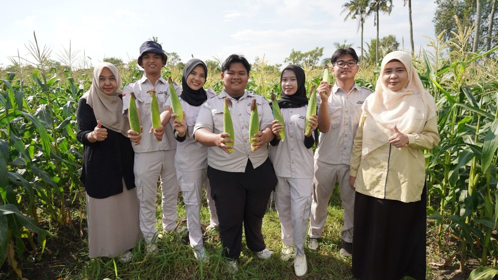 Mahasiswa Polije Panen Raya Semangka dan Jagung Manis