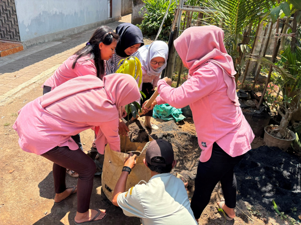 Polije Dampingi KWT Manggis 4 Bondowoso Terapkan Good Agricultural Practices Budidaya Mangga