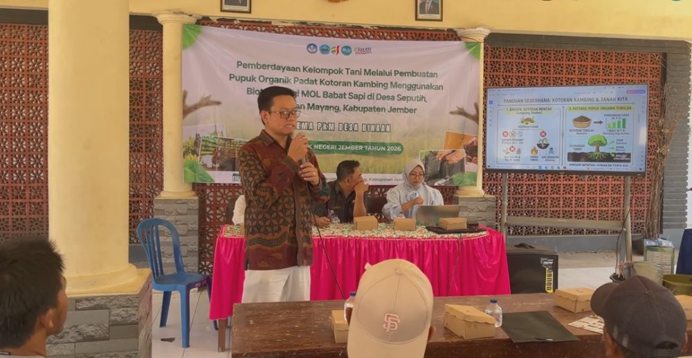 Polije Dampingi Petani Mayang Olah Kotoran Kambing Pakai MOL Babat Sapi