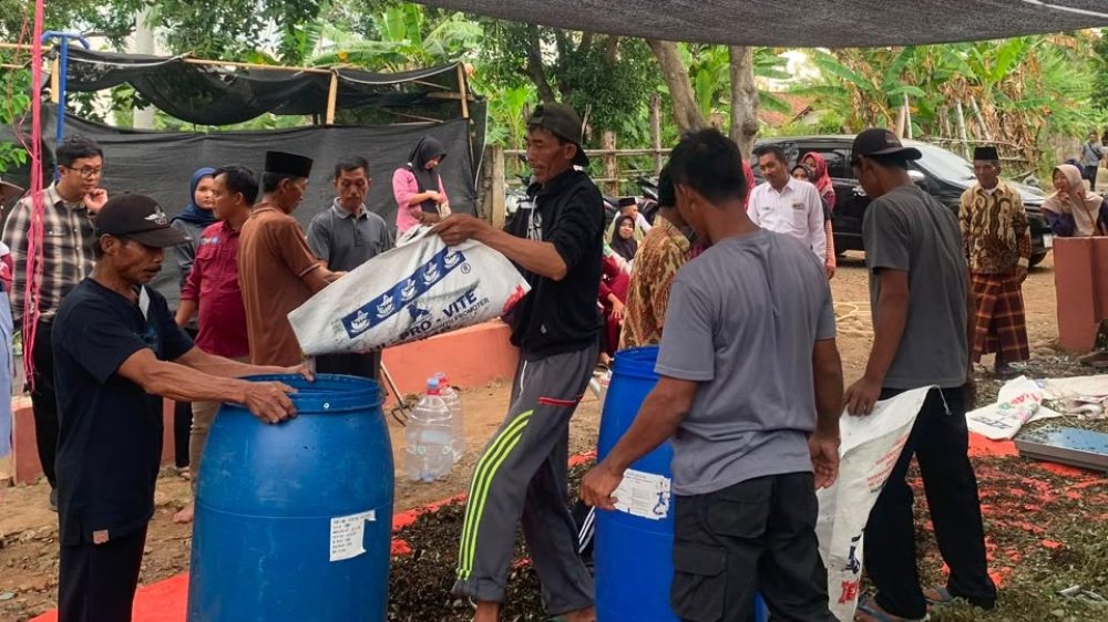 Polije Dampingi Petani Probolinggo Olah Daun Gamal Jadi Silase dan Pupuk Organik