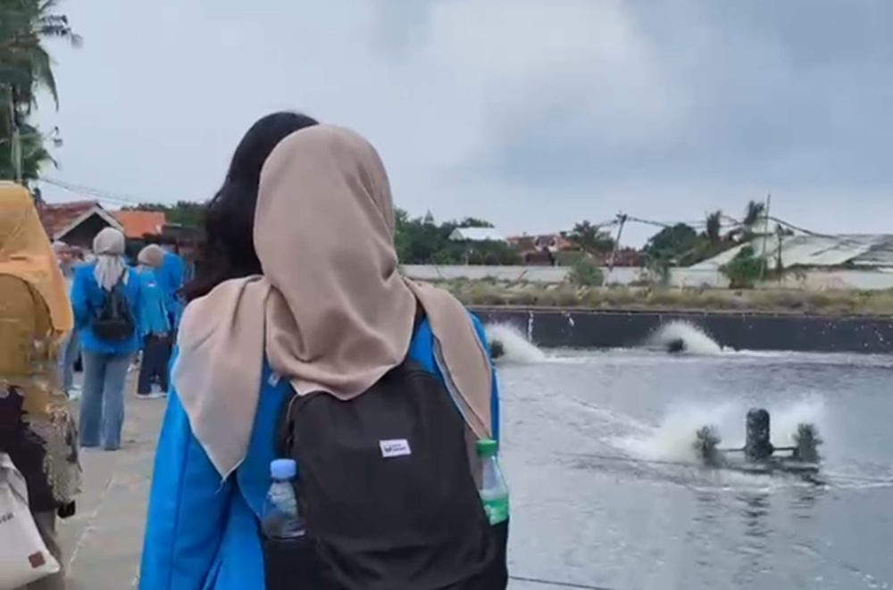 fsafawdw